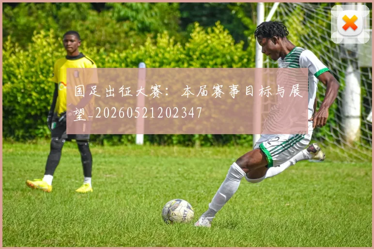 国足出征大赛：本届赛事目标与展望_20260521202347